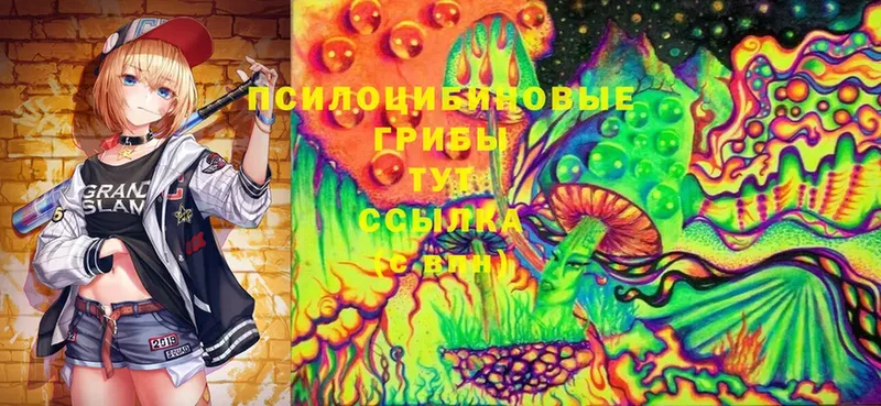 Псилоцибиновые грибы MAGIC MUSHROOMS  Ефремов 